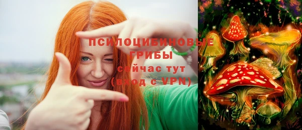 амфетамин Алексин
