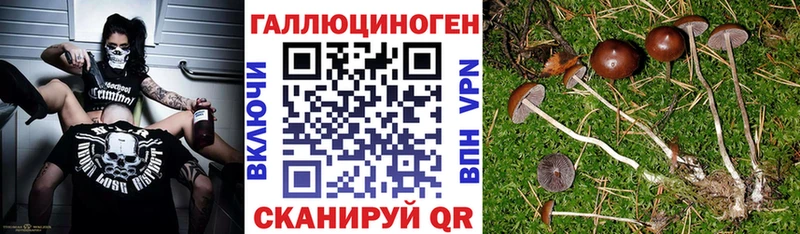 где продают наркотики  Бодайбо  KRAKEN   Галлюциногенные грибы прущие грибы 